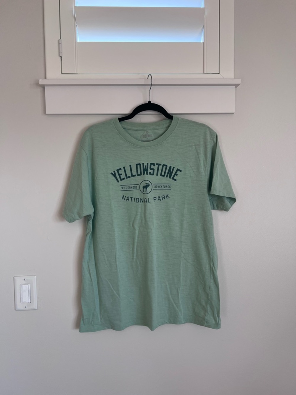 Artisans Yellowstone Green TShirt NWOT SZ L